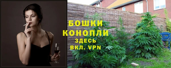 мяу мяу мука Дмитров