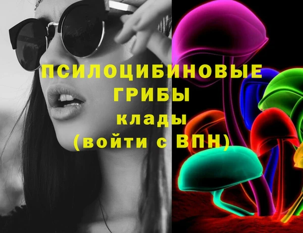 хмурый Дмитровск