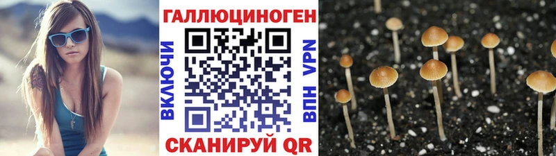 Псилоцибиновые грибы прущие грибы  Саянск 