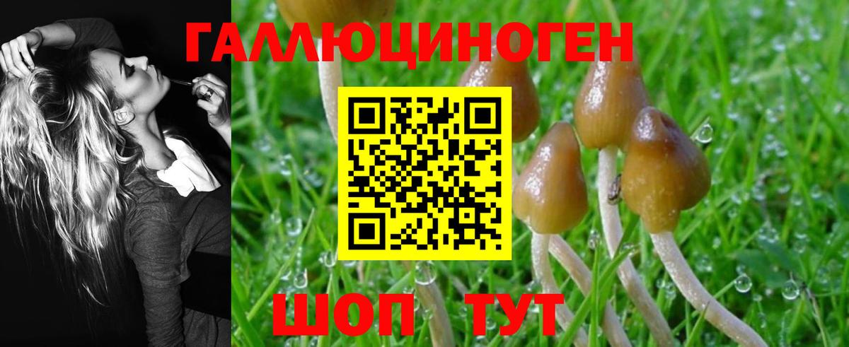 Псилоцибиновые грибы Magic Shrooms  Псилоцибиновые грибы Magic Shrooms  Саянск  Вход с VPN 