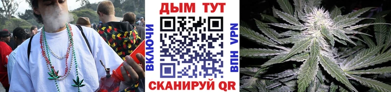 где продают наркотики  Саянск  Каннабис VHQ 